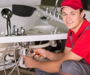 About Plumbers Pros Earl Park, IN